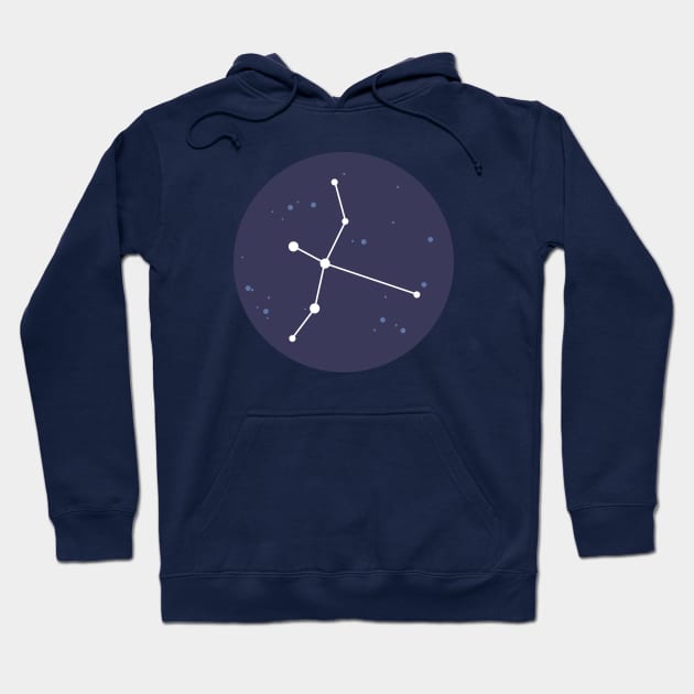 Cygnus Constellation Hoodie by aglomeradesign